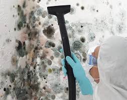 Best Comprehensive Air Testing for Mold Contaminants  in Davenport, WA